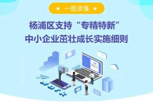 支持“专精特新”中小企业茁壮成长， 杨浦区出台实施细则