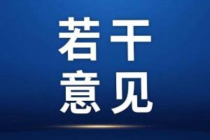 上海市高级人民法院关于司法服务保障经济社会高质量发展的若干意见