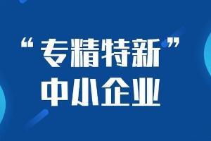 上海市经济信息化委关于组织开展2024年（第一批） 专精特新中小企业认定工作的通知
