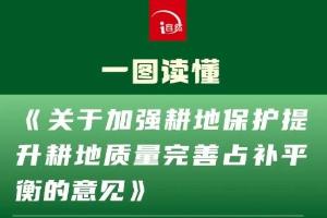 一图读懂《关于加强耕地保护提升耕地质量完善占补平衡的意见》