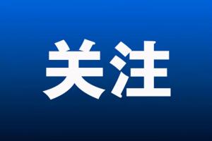 上海市国四柴油车淘汰更新补贴实施细则发布