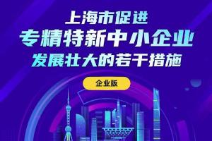 一图解读：上海市促进专精特新中小企业发展壮大的若干措施（企业版）