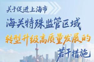 促进上海市海关特殊监管区域转型升级高质量发展，上海发布若干措施→