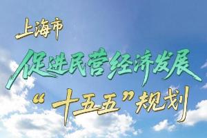 向新而行、向高攀登，推动我市民营经济高质量发展，《上海市促进民营经济发展“十五五”规划》发布