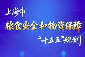 一图读懂《上海市粮食安全和物资保障“十五五”规划》